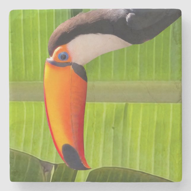 Porta-copo De Pedra Porta copos  de pedra design Tucano (Frente)