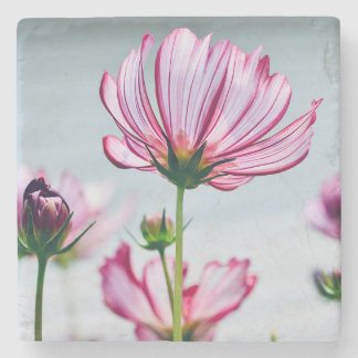 Porta-copo De Pedra Porta copos do Cosmos Marble