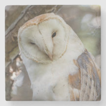 Porta copos do Retrato de Barn Owl