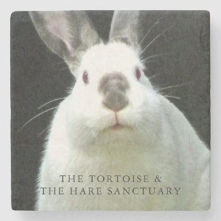 Porta-copo De Pedra Porta copos dos Cocos