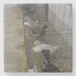 Porta-copo De Pedra Porta copos Duck Drink