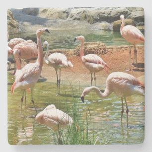 Porta-copo De Pedra Porta copos Flamingos Rosa