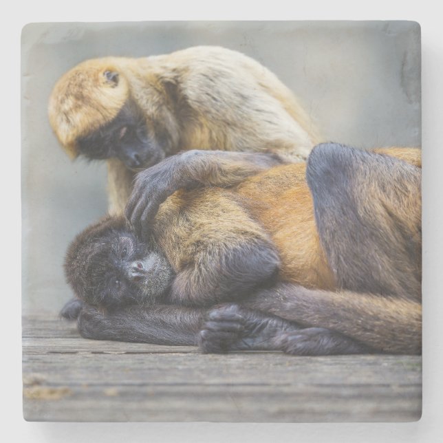 Porta-copo De Pedra Porta copos macaco (Frente)