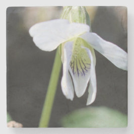 Porta-copo De Pedra Porta copos Pedra