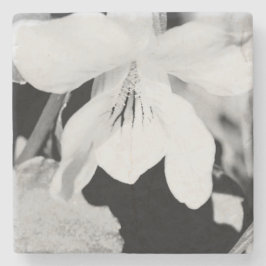 Porta-copo De Pedra Porta copos Pedra