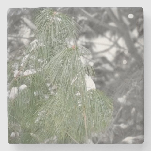 Porta-copo De Pedra Porta copos Pedra (Frente)