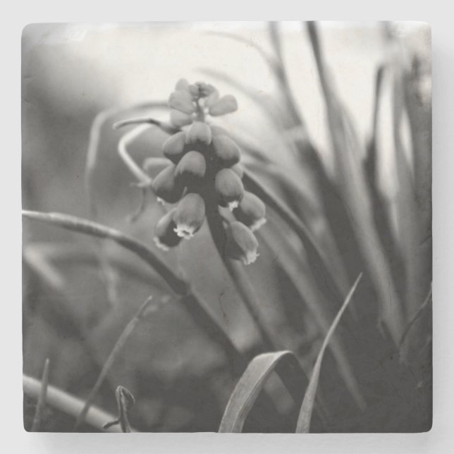 Porta-copo De Pedra Porta copos Pedra (Frente)