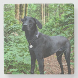 Porta-copo De Pedra Porta copos personalizável! Sip e olhe para seu fi