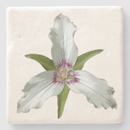 Porta-copo De Pedra Porta copos Pintada de Pedra de Primavera de Trili