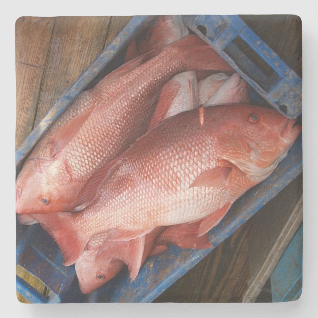 Porta-copo De Pedra porta copos Quadrada do Snapper Vermelho (Frente)