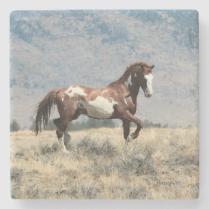 Porta-copo De Pedra Porta copos selvagem do garanhão