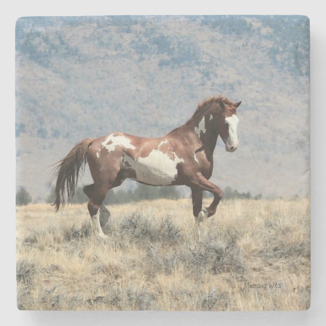 Porta-copo De Pedra Porta copos selvagem do garanhão (Frente)