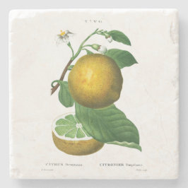 Porta-copo De Pedra PORTA-COPOS: Uvas: REDOUTADO