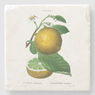 Porta-copo De Pedra PORTA-COPOS: Uvas: REDOUTADO