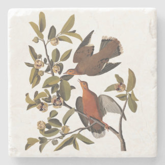 Porta-copo De Pedra Porta de Audubon Zenaida com Flores