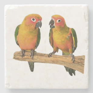 Porta-copo De Pedra Portas copos bonitos de Conure