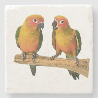 Porta-copo De Pedra Portas copos bonitos de Conure