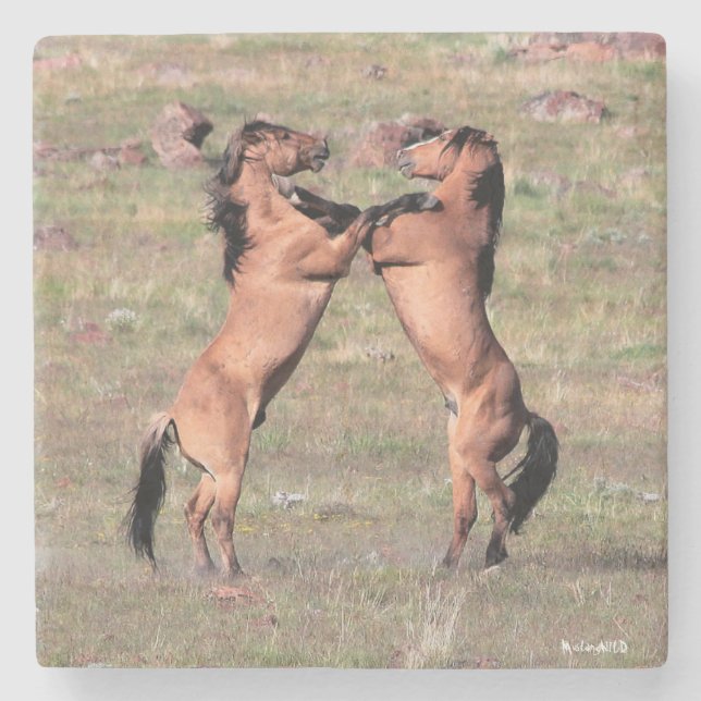 Porta-copo De Pedra Portas copos selvagens de Kiger (Frente)