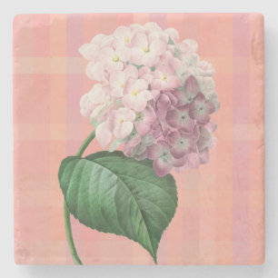 Porta-copo De Pedra Pousa Copos de Arte de Flor de Hortênsia Rosa