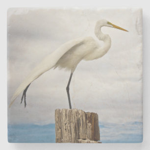 Porta-copo De Pedra Praia talentoso do Egret Fort Myers, Florida