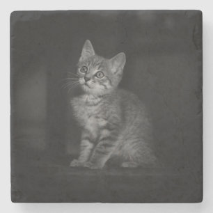 Porta-copo De Pedra Precioso Kitten