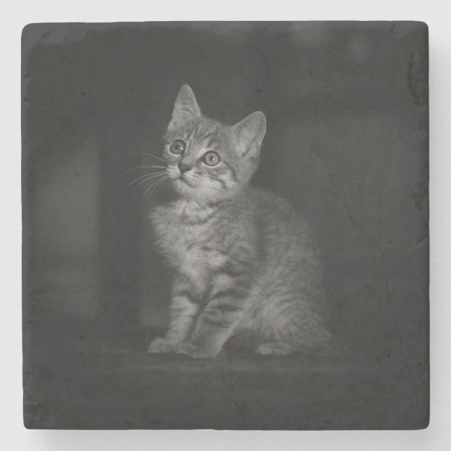 Porta-copo De Pedra Precioso Kitten (Frente)