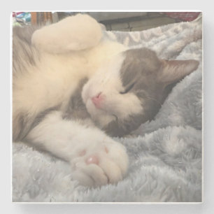 Porta-copo De Pedra Presente Personalizado de Foto de Gato para Amante