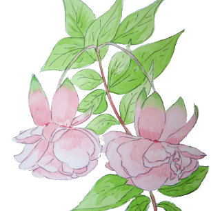 Porta-copo De Pedra preto com flores rosa bonito por toda a floricultu