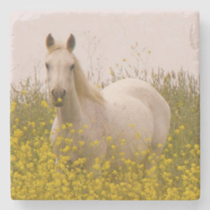 Porta-copo De Pedra Primavera