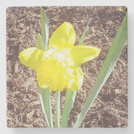 Porta-copo De Pedra Primavera amarelo Daffodil