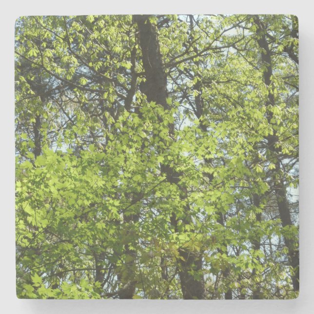 Porta-copo De Pedra Primavera Maple Deixa a natureza (Frente)