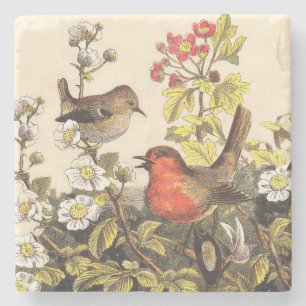 Porta-copo De Pedra Primavera Robin Birds Red Birds