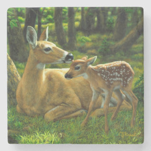 Porta-copo De Pedra Primavera Whitetail Fawn e Madre Deer