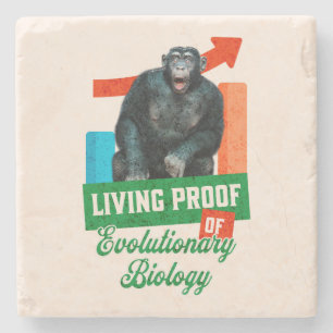 Porta-copo De Pedra Prova Viva da Biologia Evolutiva Chimpanzé Engraça