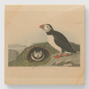 Porta-copo De Pedra Puffin Atlântico das Aves da América de Audubon