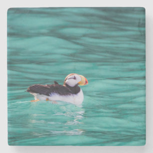 Porta-copo De Pedra Puffin In Resurrection Bay, Alaska
