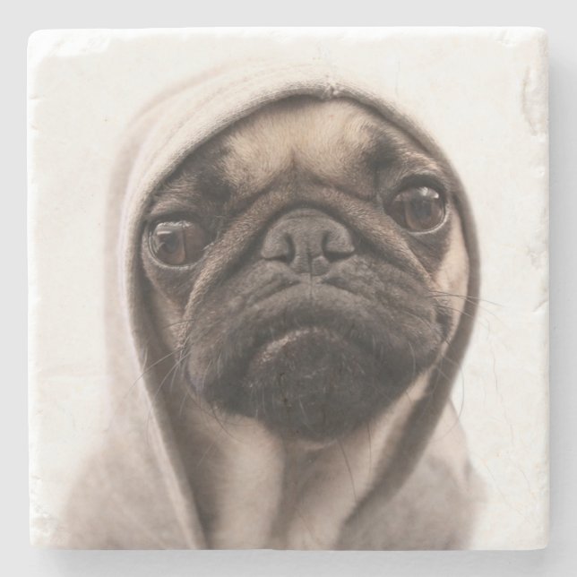 Porta-copo De Pedra Pug em um Hoodie (Frente)