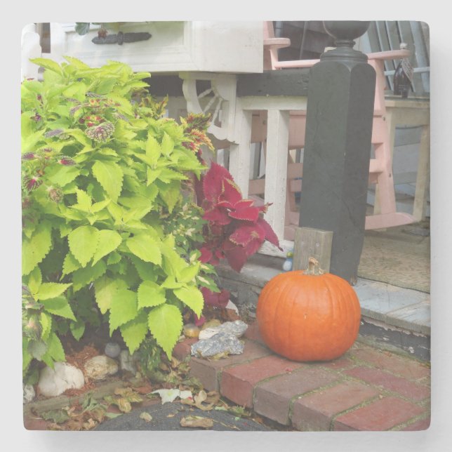 Porta-copo De Pedra Pumpkin e Coleus - Martha's Vineyard (Frente)