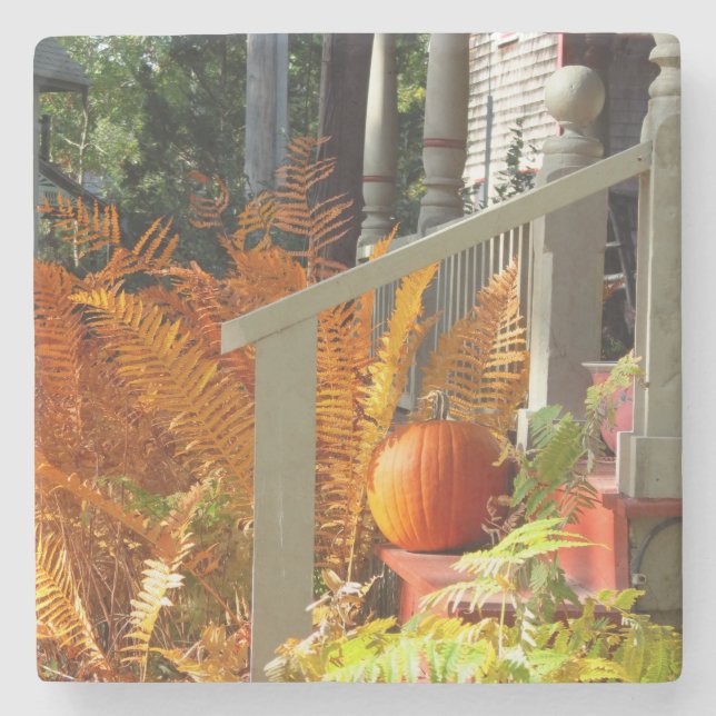 Porta-copo De Pedra Pumpkin e Ferns - Martha's Vineyard (Frente)