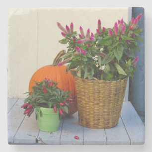 Porta-copo De Pedra Pumpkin e Pepper Plant - Martha's Vineyard
