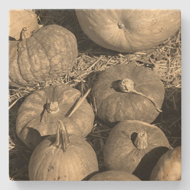 Porta-copo De Pedra Pumpkin Patch (Frente)