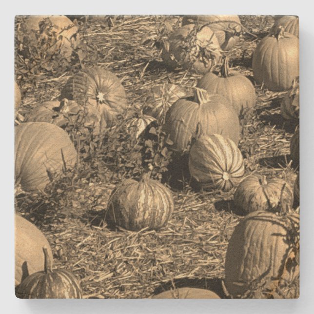 Porta-copo De Pedra Pumpkins (Frente)