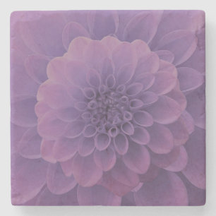 Porta-copo De Pedra Purple Dahlia