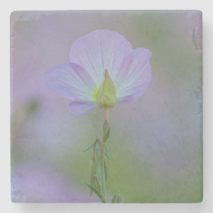 Porta-copo De Pedra Purple Primrose