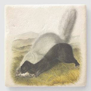 Porta-copo De Pedra Quadrupedes de Audubon com nariz de porco (tronco 