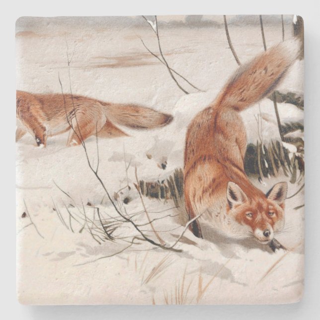 Porta-copo De Pedra Red Foxes in the Winter Snow (by Wilhelm Kuhnert) (Frente)