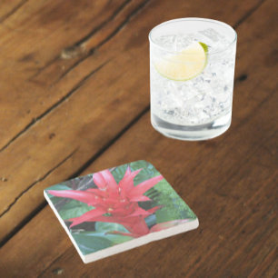 Porta-copo De Pedra Red Guzmania Bromeliad Floral