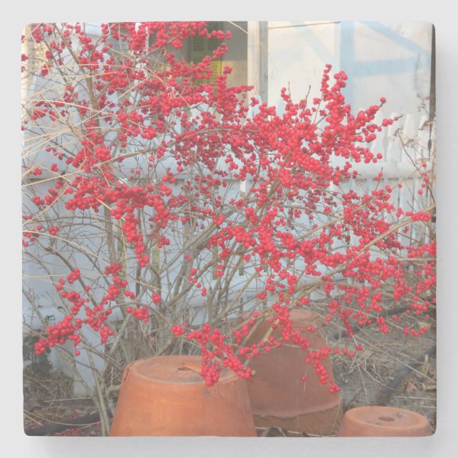 Porta-copo De Pedra Red Winter Berries - Martha's Vineyard (Frente)