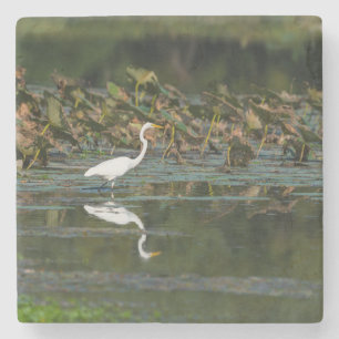 Porta-copo De Pedra Reflexo de Egret Branco
