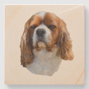 Porta-copo De Pedra Rei Charles Cavalier Spaniel,